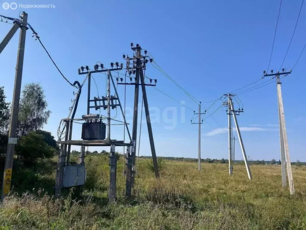 Участок в Калининградская область, Зеленоградский муниципальный округ, ... - Фото 0