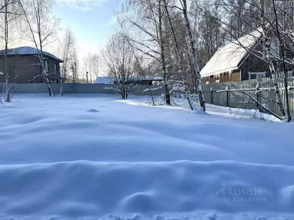 Участок в Московская область, Раменский муниципальный округ, д. Тяжино ... - Фото 2