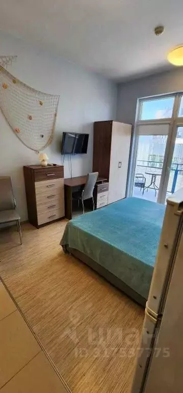 1-к кв. Краснодарский край, Сириус пгт ул. Голубая, 1Б/1 (28.0 м) - Фото 1