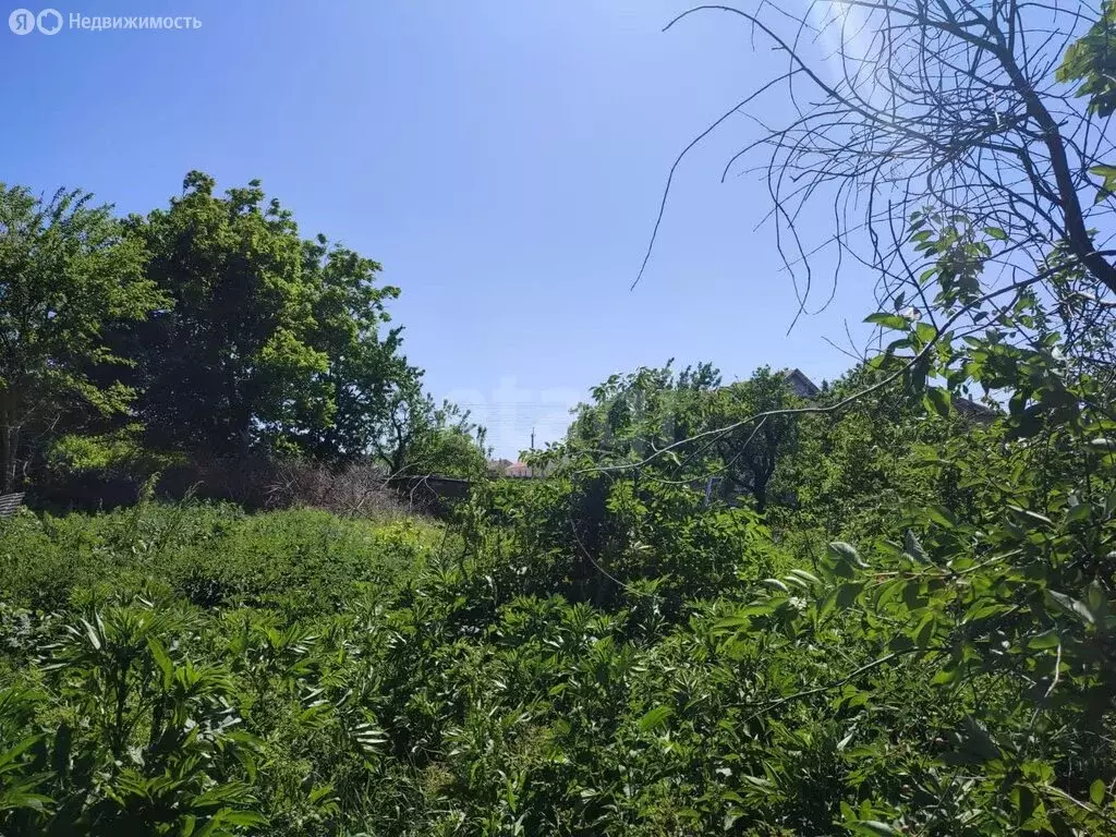 Участок в Трудовское сельское поселение, село Строгоновка, Полевая ... - Фото 0