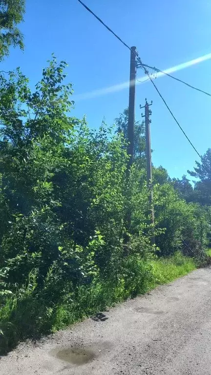 Участок в Ленинградская область, Приозерский район, Ларионовское ... - Фото 0