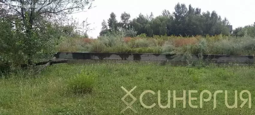 Участок в Елизаветинское сельское поселение, хутор Колузаево, ... - Фото 1