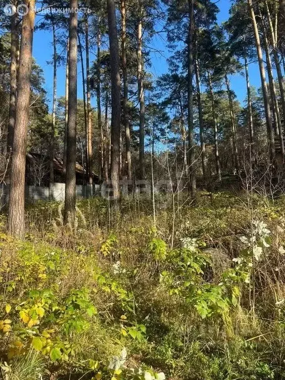 Участок в Новосибирск, коттеджный посёлок Европейский, Пражская улица ... - Фото 1