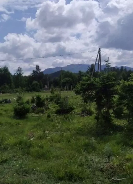 Участок в Алтай, Турочакский район, с. Турочак ул. Шукшина, 24 (10.5 ... - Фото 2