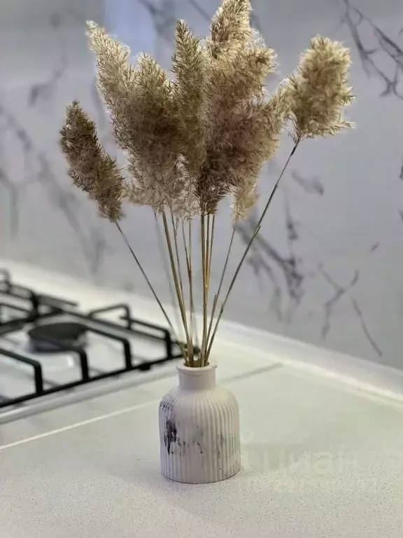 1-к кв. Дагестан, Махачкала ул. Шелковая, 10 (50.0 м) - Фото 1