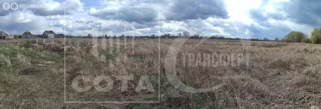 Участок в Воронежская область, село Новая Усмань (6 м) - Фото 0