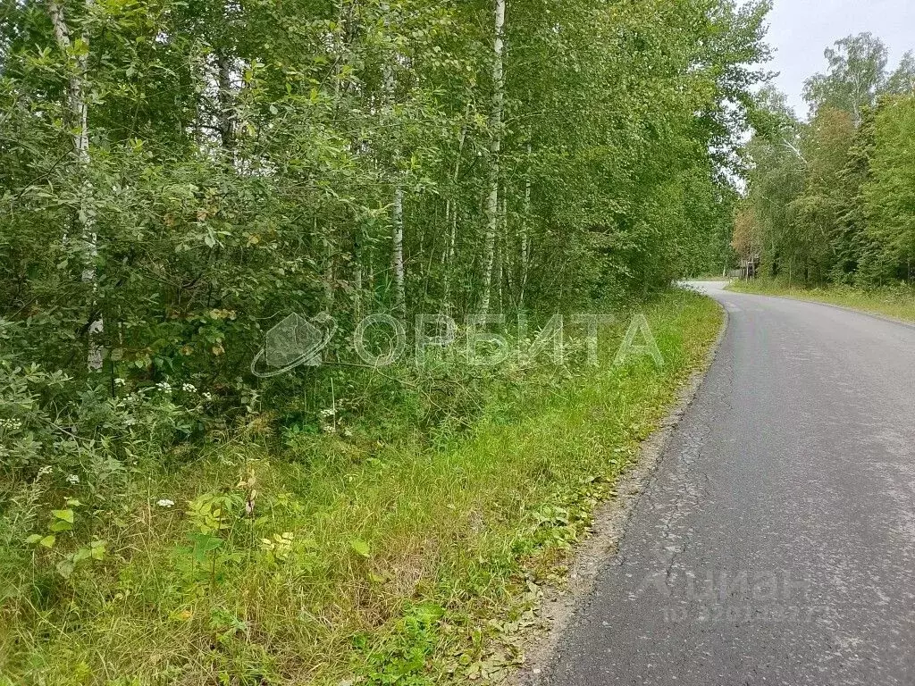 Участок в Тюменская область, Нижнетавдинский район, Сундукульский ... - Фото 1