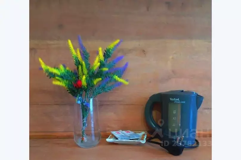 1-к кв. Татарстан, Казань ул. Восстания, 101 (16.0 м) - Фото 1