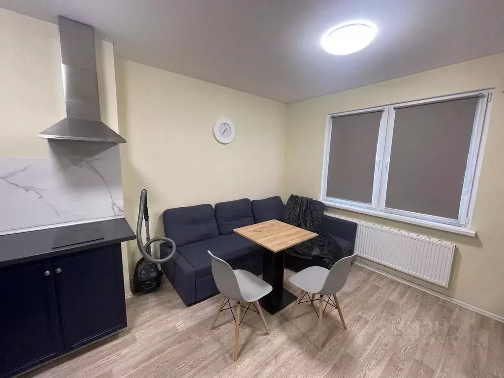 Студия Санкт-Петербург дор. Муринская, 25к2 (20.1 м) - Фото 2