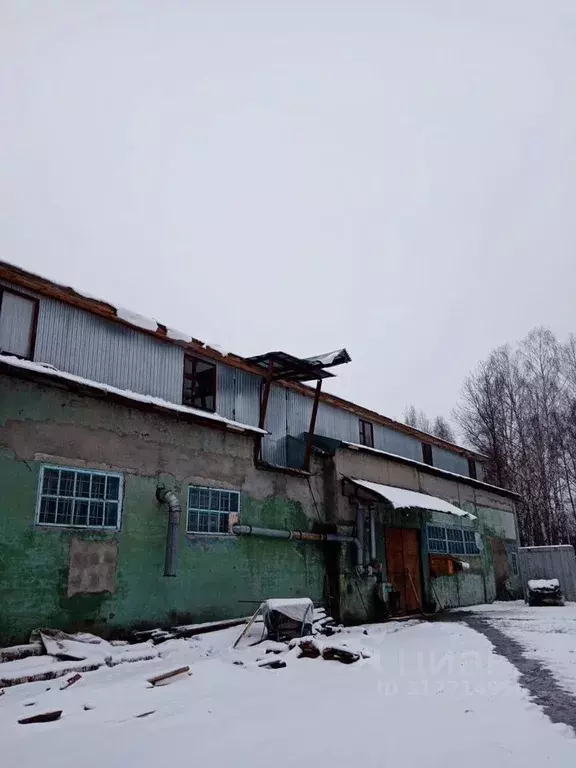 Производственное помещение в Московская область, Орехово-Зуевский ... - Фото 1