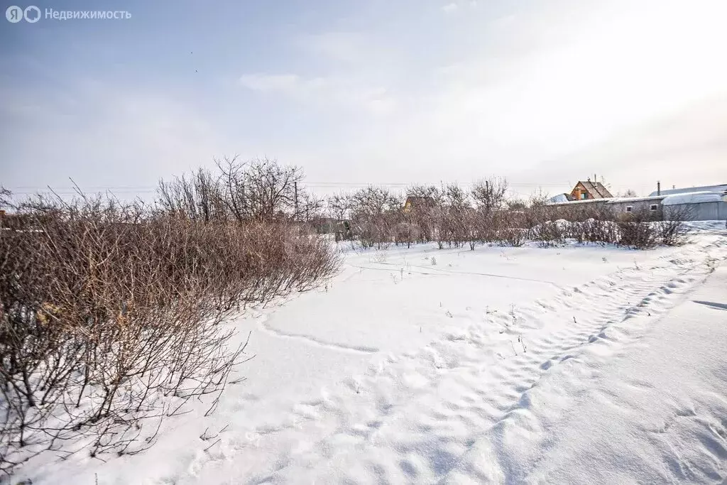 Участок в Бердск, СНТ Лесное, 10-я улица (5.09 м) - Фото 2