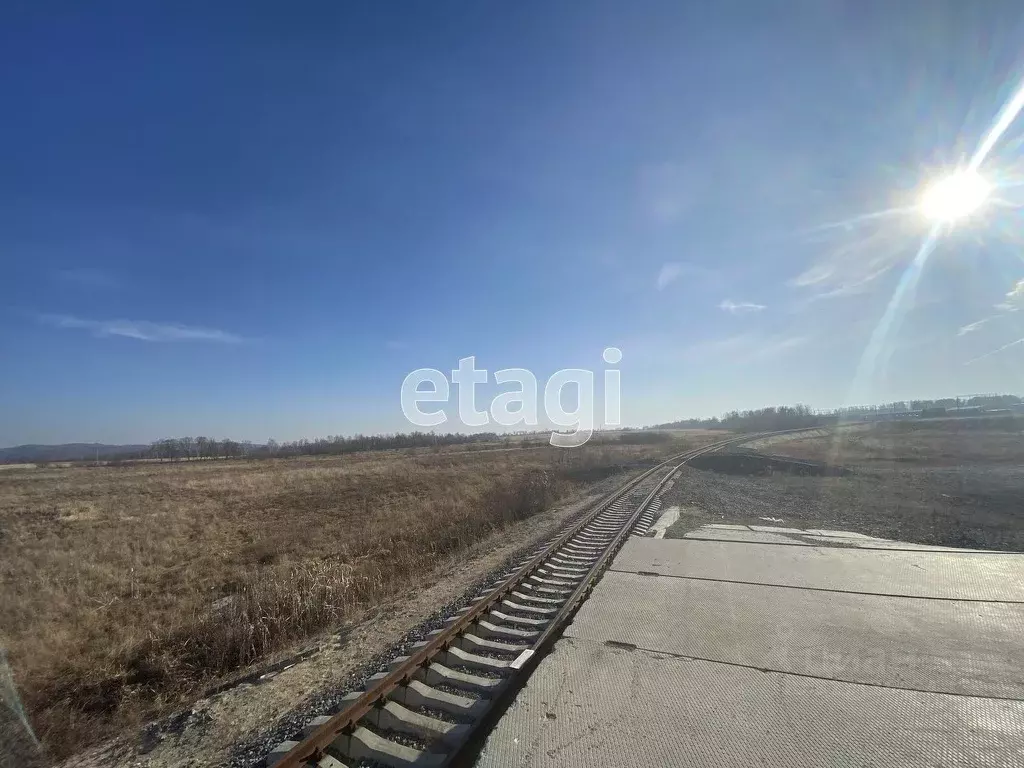 Участок в Амурская область, Свободненский район, с. Усть-Пера  (5376.2 ... - Фото 1