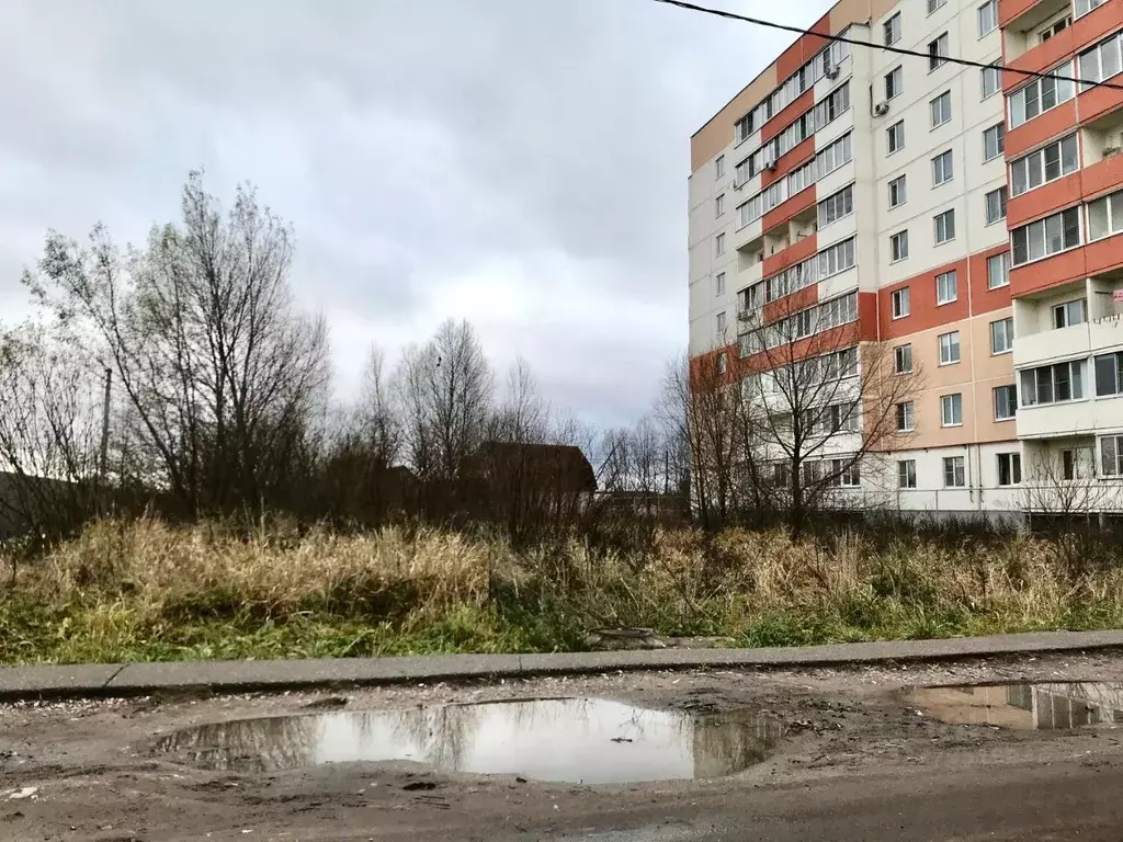 Участок в Новгородская область, Новгородский район, Ермолинское с/пос, ... - Фото 2