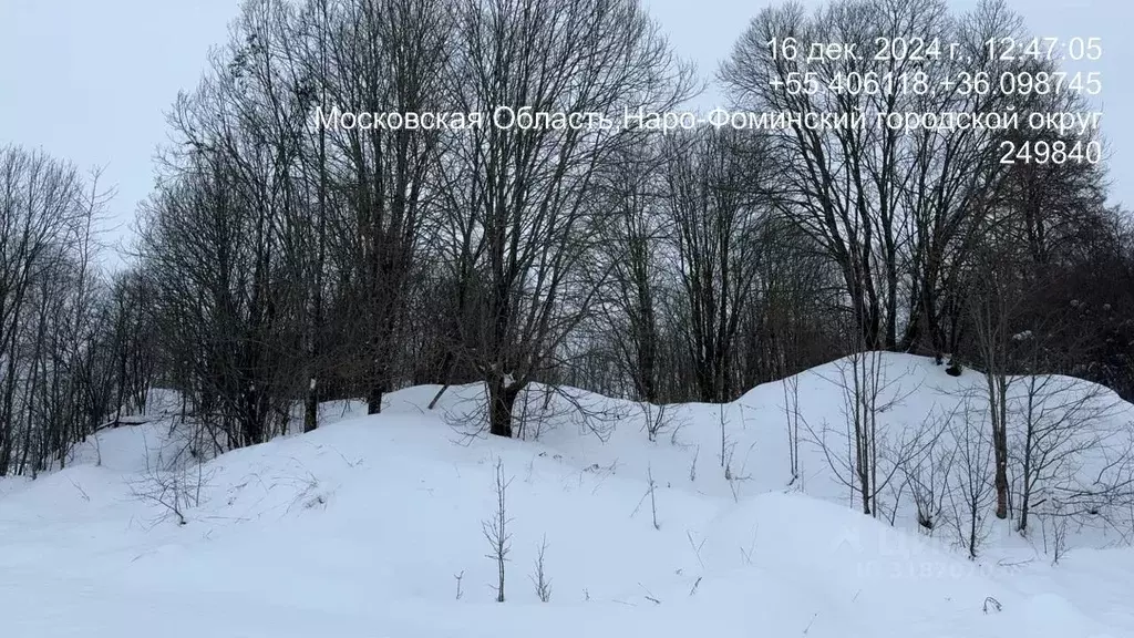 Участок в Московская область, Наро-Фоминский городской округ, д. ... - Фото 1