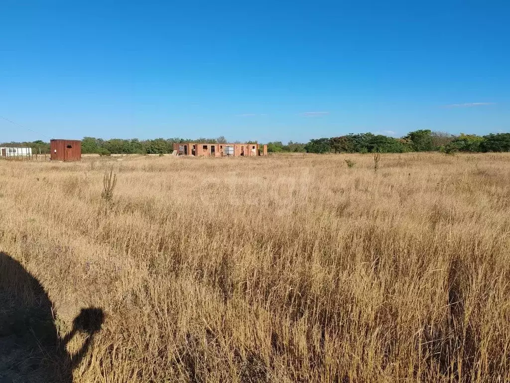 Участок в Краснодарский край, Ейский район, с. Кухаривка Северная ул. ... - Фото 2
