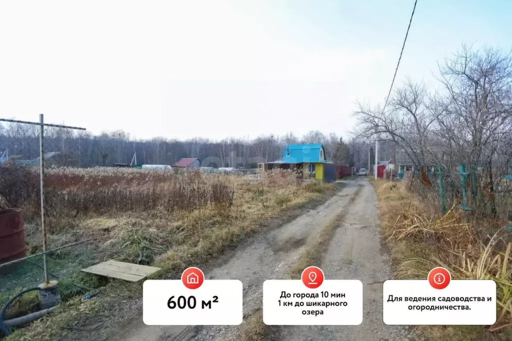 Участок в Хабаровский край, Хабаровский район, Полесье СНТ 132/1 (6.45 ... - Фото 1