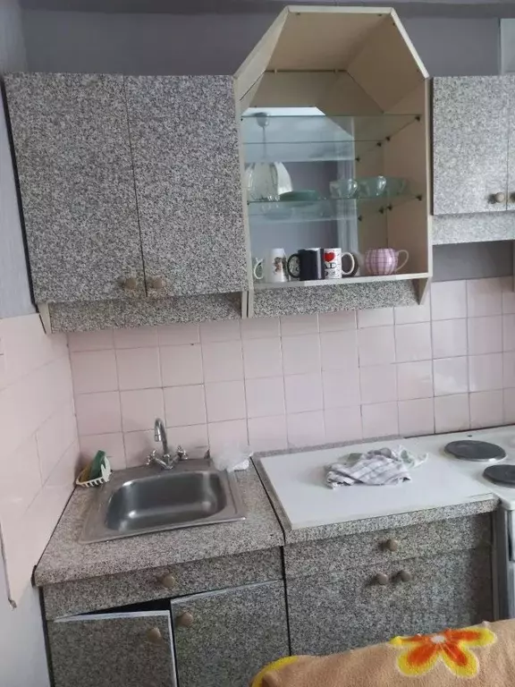 1-к кв. Красноярский край, Красноярск ул. Академика Павлова, 63 (37.0 ... - Фото 2