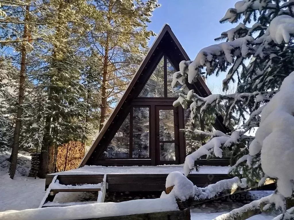 Дом в Алтай, Турочакский район, с. Артыбаш Солнечный пер., 3 (36 м) - Фото 0