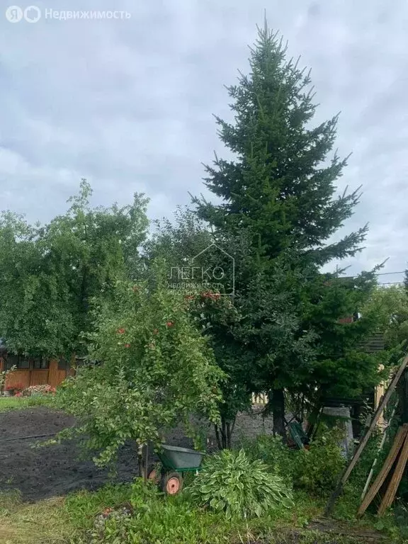 Участок в Кудряшовский, Береговая улица, 55В (5.38 м) - Фото 1