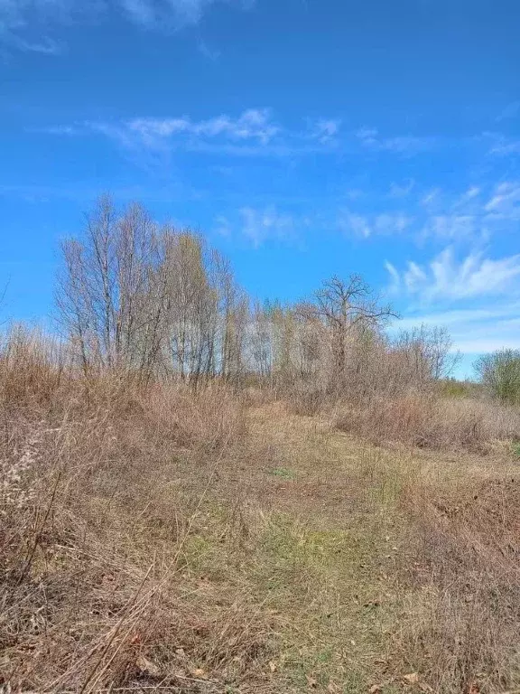 Участок в Амурская область, Благовещенский район, с. ... - Фото 0
