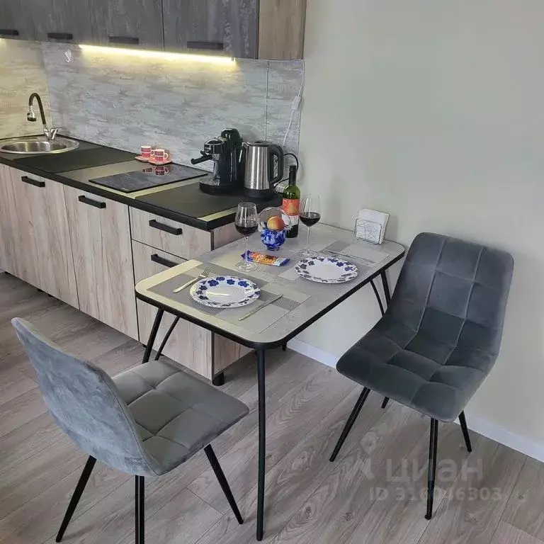 Студия Краснодарский край, Сочи ул. Искры, 88к2 (28.0 м) - Фото 1