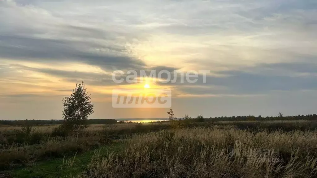 Участок в Владимирская область, Александровский муниципальный округ, ... - Фото 2