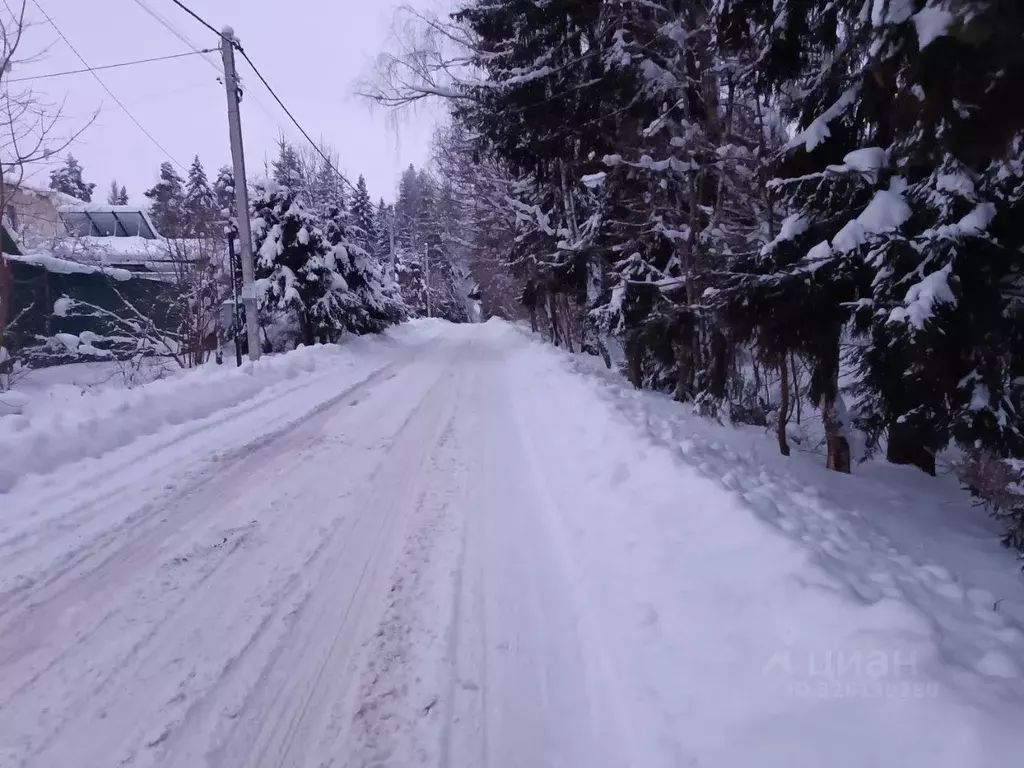 Участок в Московская область, Солнечногорск городской округ, Надеждино ... - Фото 2