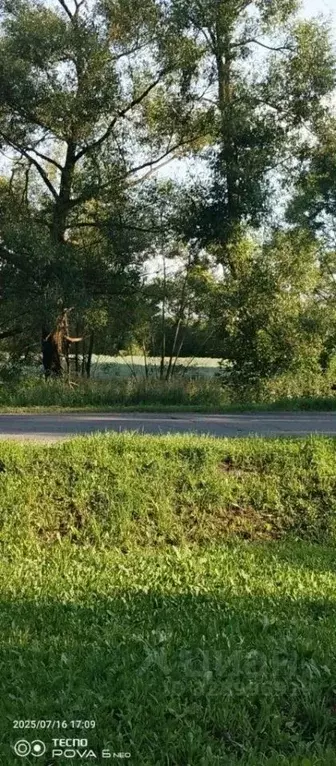 Участок в Пензенская область, Кузнецкий район, с. Радищево ул. ... - Фото 2