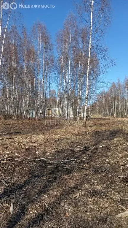 Участок в Владимир, 3-я Сорокинская улица (9.63 м) - Фото 0