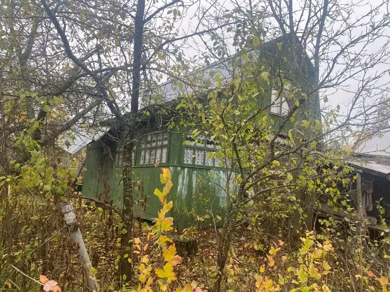 Снт садовод 5. СНТ МГУ. Садовод МГУ. Садовод МГУ 183, садовое некоммерческое товарищество Садовод МГУ фото.