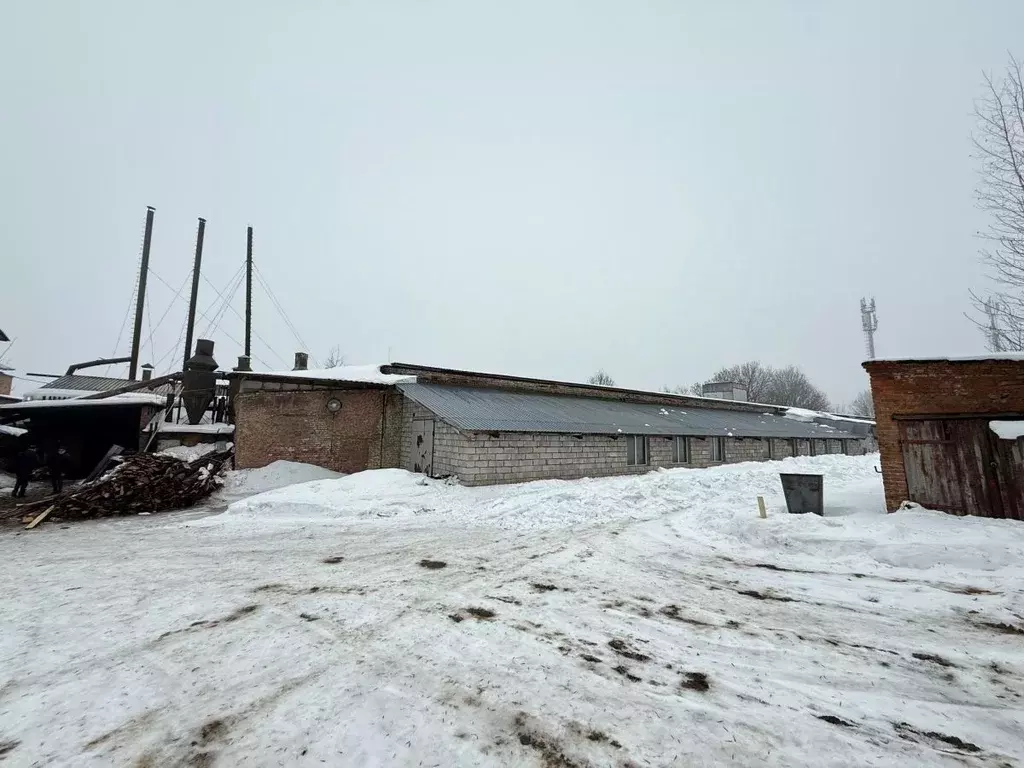 Производственное помещение в Смоленская область, Рославль ул. ... - Фото 1