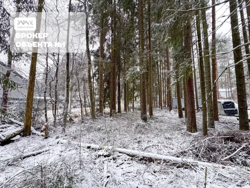 Участок в Зеленогорск, 2-я Лесная улица (6.8 м) - Фото 2