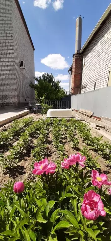 Дом в Волгоградская область, Волгоград Южно-Сибирская ул. (337 м) - Фото 2