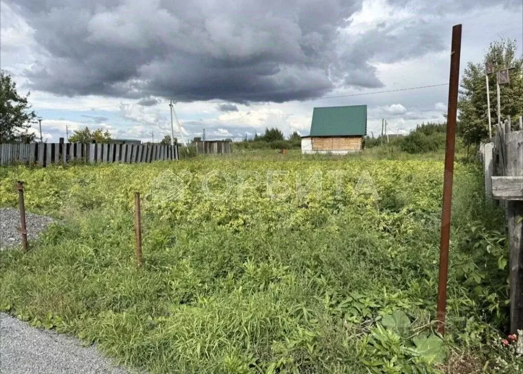 Участок в Тюменская область, Тюменский муниципальный округ, пос. ... - Фото 1
