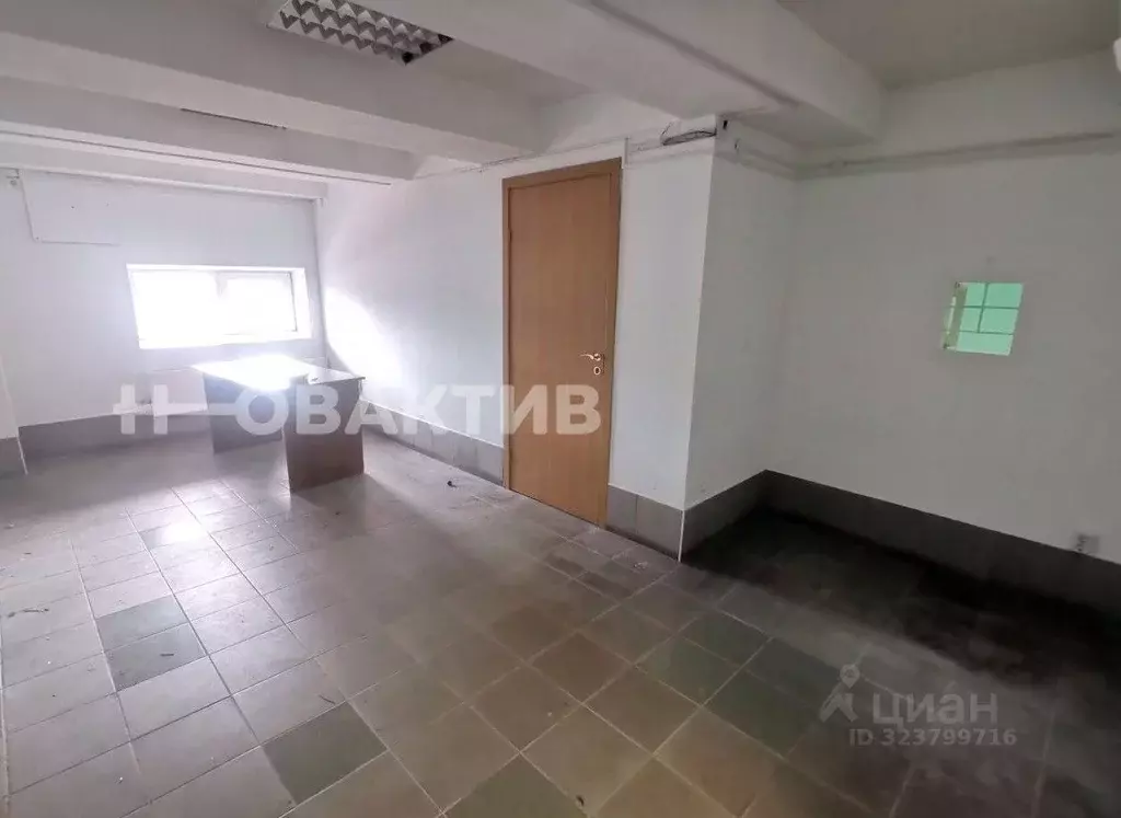 Помещение свободного назначения в Новосибирская область, Новосибирск ... - Фото 1