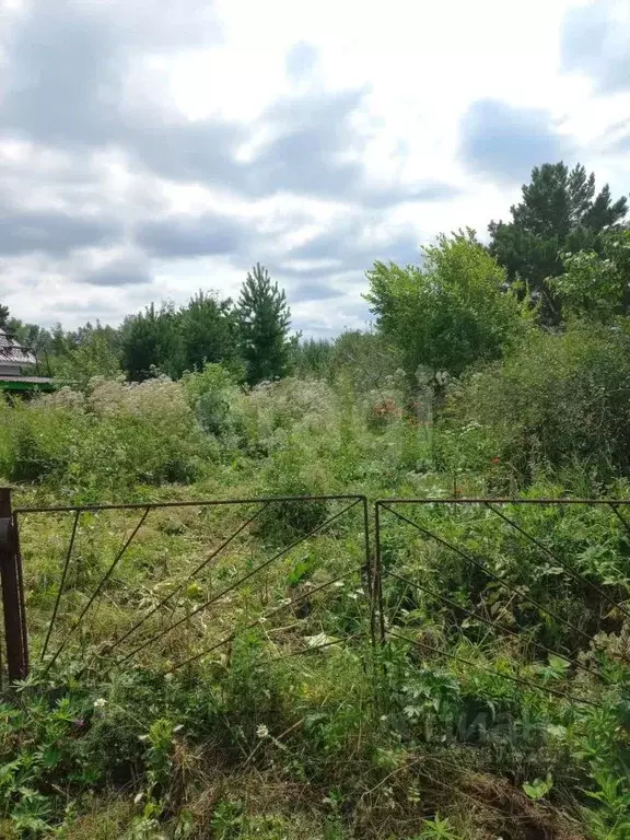 Участок в Тюменская область, Тюменский муниципальный округ, Лесник-2 ... - Фото 1