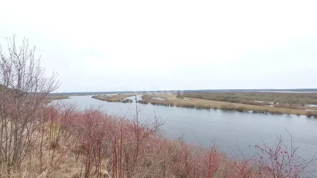 Участок в Архангельская область, Котласский муниципальный округ, ... - Фото 1