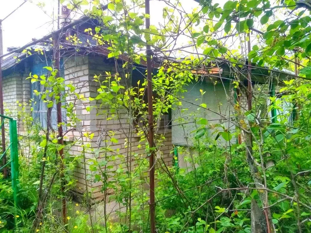 Купить Дачу В Белой Калитве Свежие Объявления