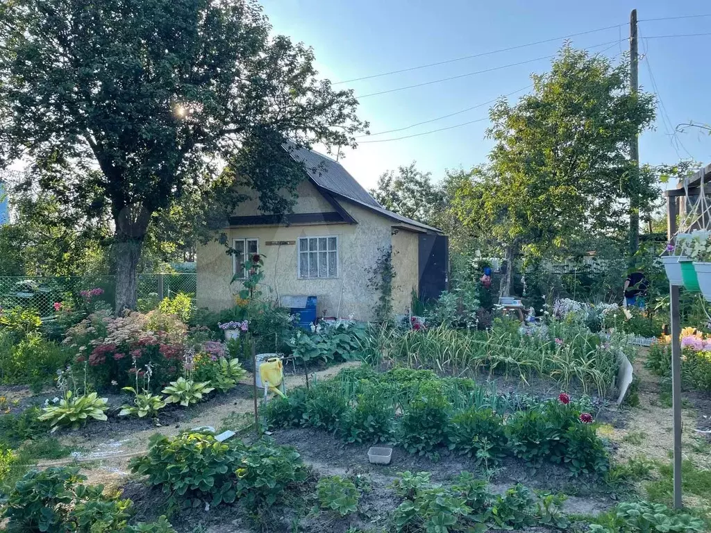 Участок 4 сот. (СНТ, ДНП) - Фото 0