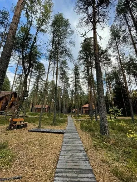 Комната Ленинградская область, Кингисеппский район, Вистинское с/пос, ... - Фото 2