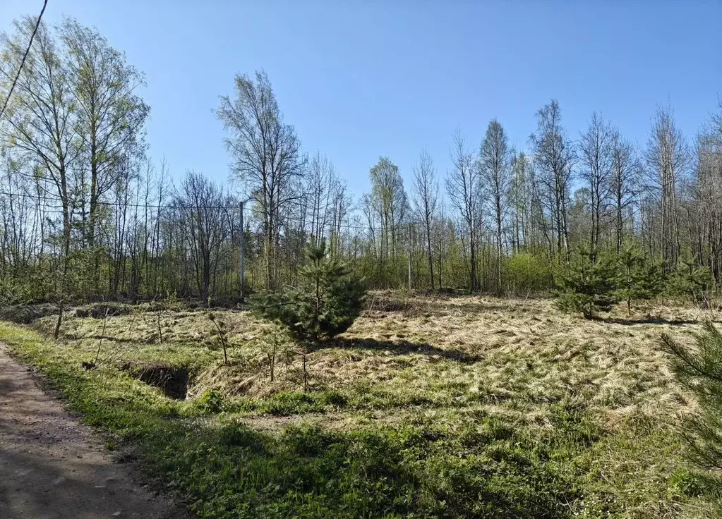 Участок в Ленинградская область, Кировский район, Мгинское городское ... - Фото 1