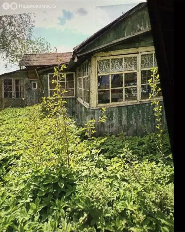 Дом в Волосовский район, Калитинское сельское поселение, деревня Малое ... - Фото 2