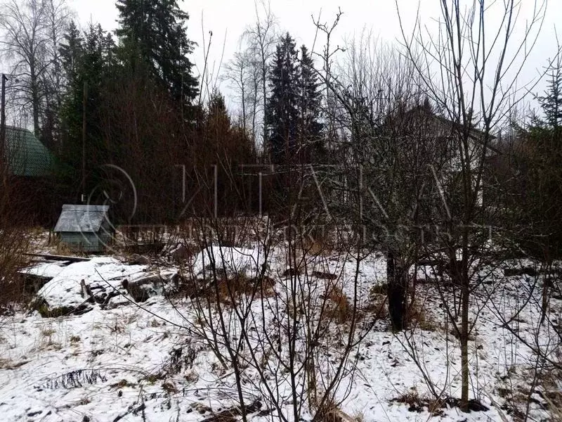 Участок в Ленинградская область, Приозерский район, Ларионовское ... - Фото 2