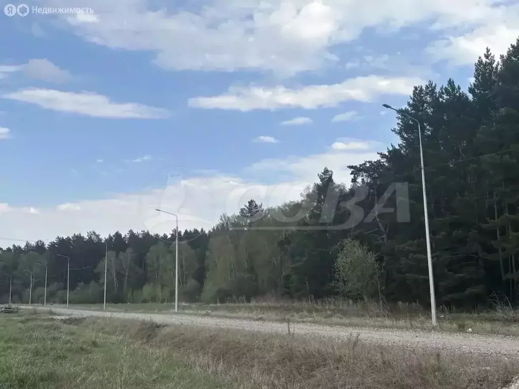 Дом в Тюменский муниципальный округ, село Червишево (60 м) - Фото 1