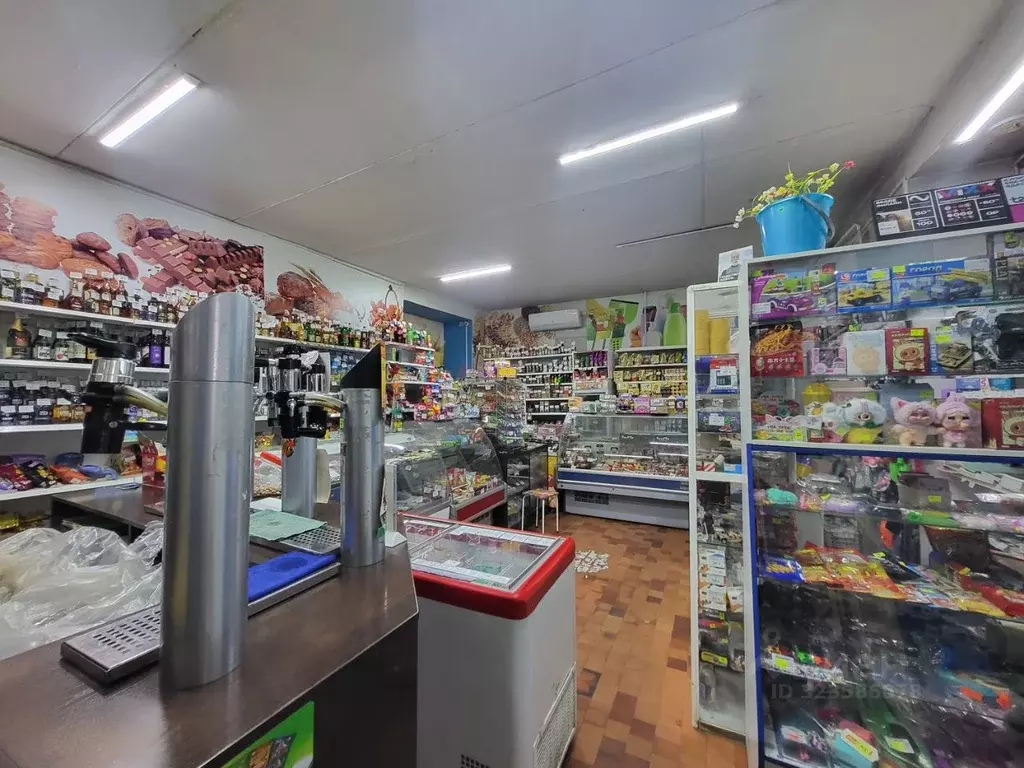 Торговая площадь в Алтайский край, Барнаул тракт Змеиногорский, 120/8 ... - Фото 2