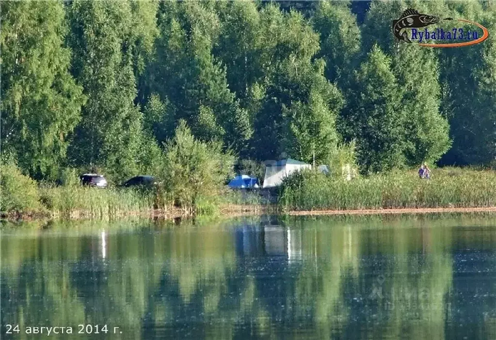 Участок в Ульяновская область, Мелекесский район, Новоселкинское ... - Фото 1