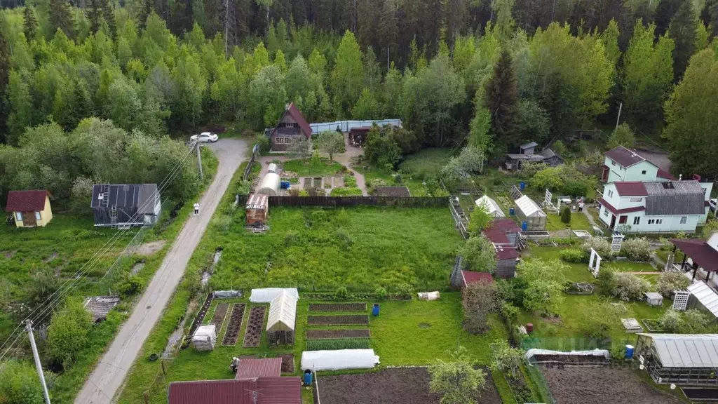 Участок в Ленинградская область, Приозерский район, Ларионовское ... - Фото 2