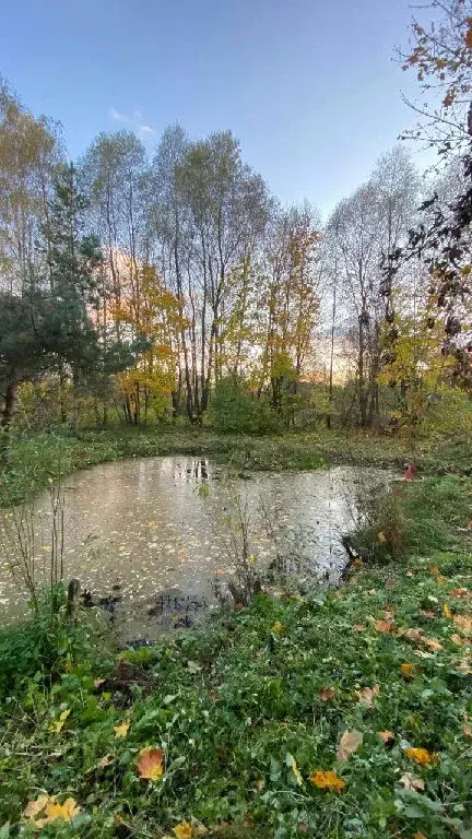 Продается участок в ДНТ Усадьба - Фото 0