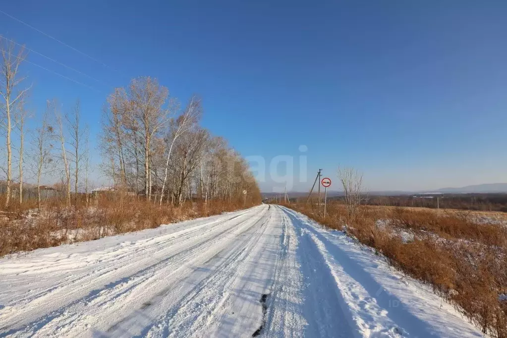 Участок в Хабаровский край, Хабаровский район, Осиновореченское с/пос, ... - Фото 1