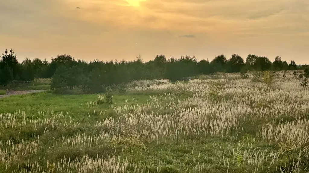 Участок в Московская область, Ступино городской округ, д. Протасово ... - Фото 1